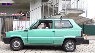 BOUNCING AN OLD PANDA