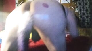 Plump booty trans bouncing gigantic butt filled with anal put in fox tail.