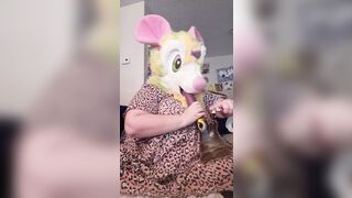 Milkweed’s Water Pipe