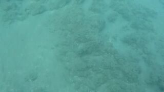 Blue water, ebony swimsuit, glamorous legs