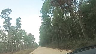 BOUT TO SCREW HIS WIFE IN THOSE WOODS!!