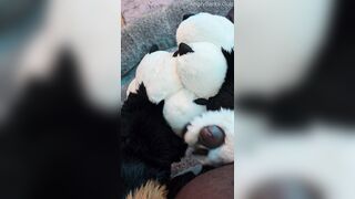 Fur Puppy Voz makes a mess without SJ