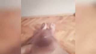 AWESOME OIL TUGJOB AND RUINED CLIMAX