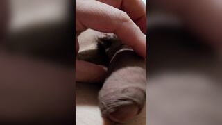 Wanking in tub 20251120 NYC