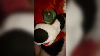MTF Trans Mursuiter Frots & Bangs Bad Dragon Sex-toy [yiff porn]