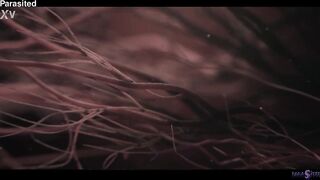 Hardcore Lesbo Sex - Parasited Angels Mind Banged To The Bizarre with LOADS of Squirt