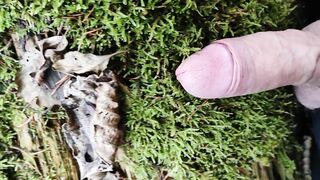 Jock Friction Moos in the forest