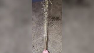 Short Carpet Urinate 《4k》