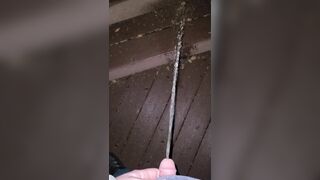 Boardwalk Step Piddle 《4k》