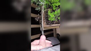 Pissing In The Flowers! 《4k》