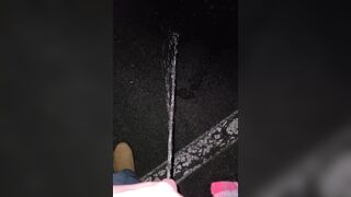 Parking Lot Public Piddle 6 《4k》