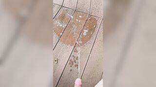 Boardwalk Void urine 《4k》