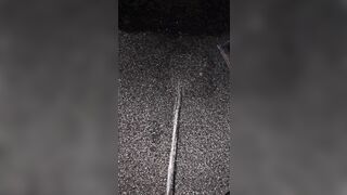 Marking The Mulch two《4K》