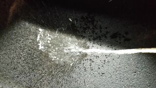 Parking Lot Public Piddle 4