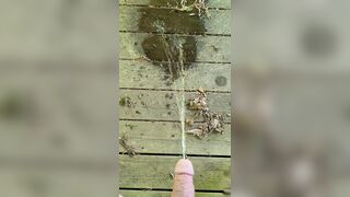 Public Park Urinate In Gazebo 《4k》