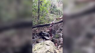 godness black ebony honeys