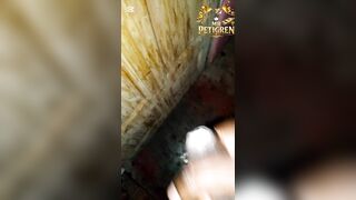 Ebony Hunk Solo - Homemade Mood