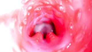 A charming jock in a pink moist gap, very close up