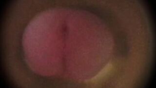 Fleshlight Livecam Fine Spunk flow