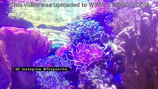 "The Excited One" - Porn Story Audio