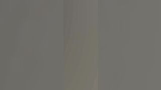 Flock of birds over Vercelli