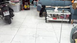 This security guard execrates me