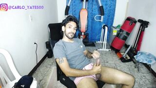 show publico de venida