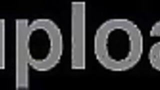 Zenless Zone Zero two.6 Compilation