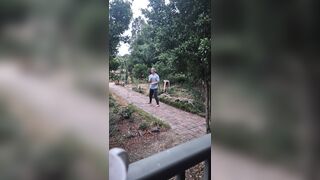 wandering the path at dusk. a novel of peace and solitude