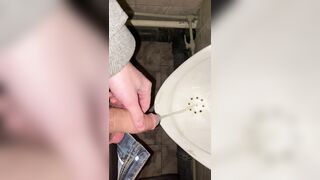 I pee in the public crapper POV
