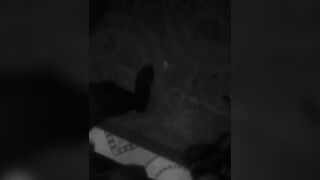 Lastly home hopeless to pee