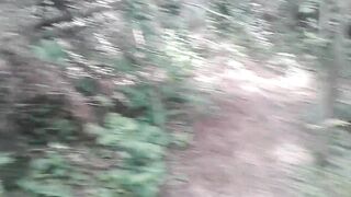 Off the Path: A Quick Walk in the Woods