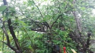 Pinned video