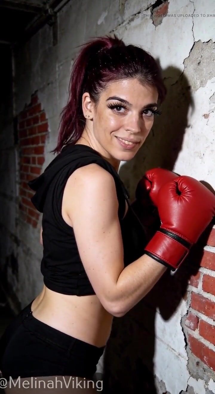Sexually excited Boxer 