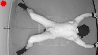 twenty min Defiance - restrained & sextoy in his booty - prostate milking climax