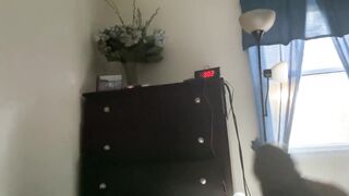 Working from home can be HARD with morning wood keeping me in the couch.