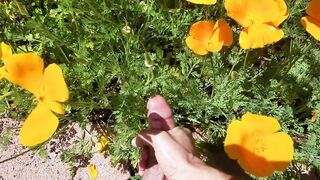 Stop to smell the flowers