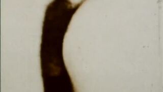 SCHOOL ANGELS IN HEAT - (Restyling Clip in Full HD Version)