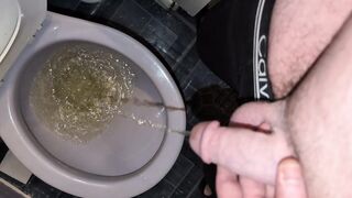 Chubby bear morning void urine