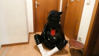 Nussija stellt sich vor (und zwar am liebsten ein Mädel zum kuscheln und ficken)