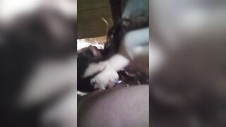 Short Sex Doll fellatio