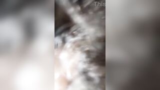 THIS LITTLE DOG LOVES IT HARD, LOOK AT HER FACE