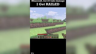 Minecraft but if i take injury i get..railed?