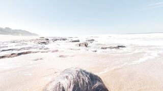Where the Waves Whisper