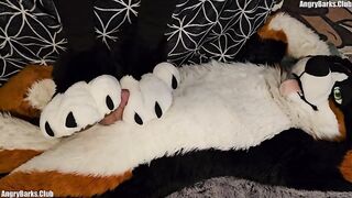 pawslut puppy gets back to back pawjobs with giant 2nd spunk fountain at the end