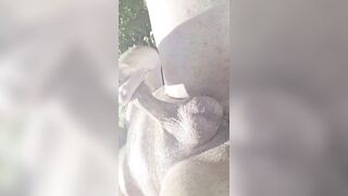 Great Outdlors CUM Adventure