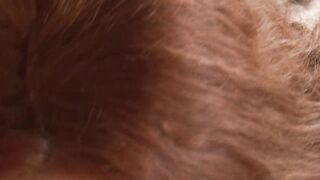 Shy redhead teen pounded hard in her bushy vagina