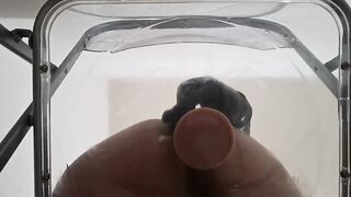 POV: Bawdy Talk Bulky Booty Femboy Raven Facesitting and Anal Creampie after Riding Sex toy throughout Transparent Chair