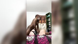 Amateur big beautiful woman shows large butt for enormous oral sex