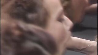 Doxies getting their mouths screwed in a blowbang
